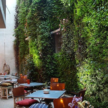 Kook Hotel タリファ エクステリア 写真