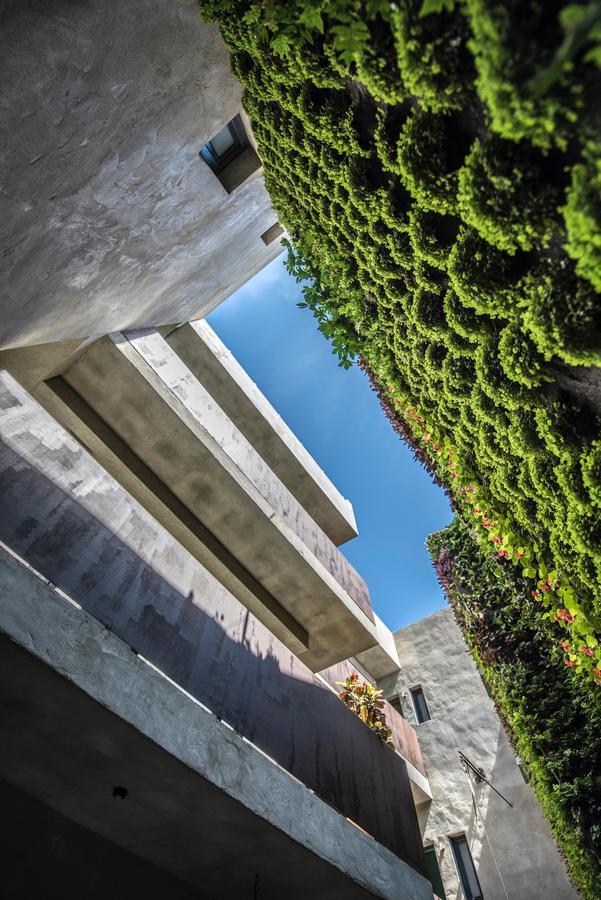 Kook Hotel タリファ エクステリア 写真